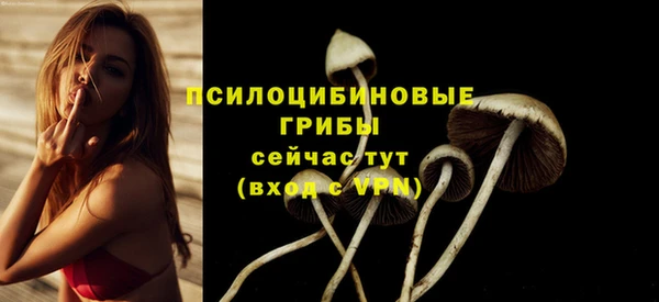 ГАЛЛЮЦИНОГЕННЫЕ ГРИБЫ Алзамай