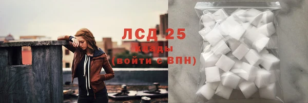 ГАЛЛЮЦИНОГЕННЫЕ ГРИБЫ Алзамай