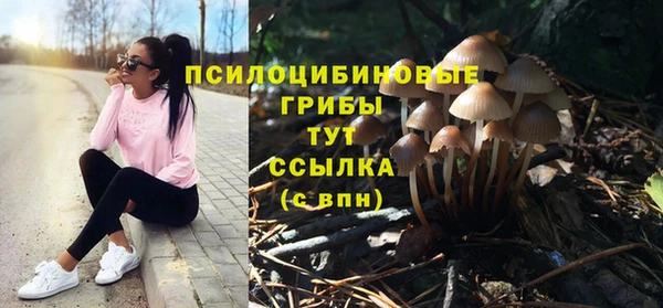ГАЛЛЮЦИНОГЕННЫЕ ГРИБЫ Алзамай