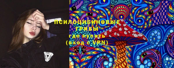 ГАЛЛЮЦИНОГЕННЫЕ ГРИБЫ Алзамай