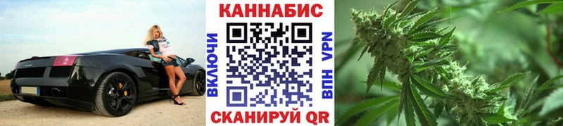 Бошки марихуана SATIVA & INDICA нарко площадка какой сайт Палласовка